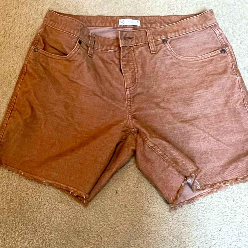 Carve Oahu shorts 6” inseam